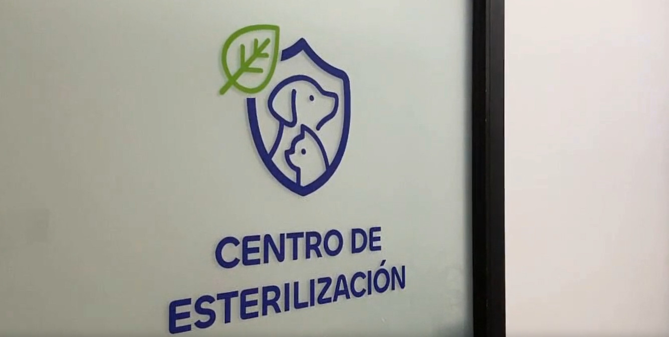 Captura de pantalla 2026-08-18 133623