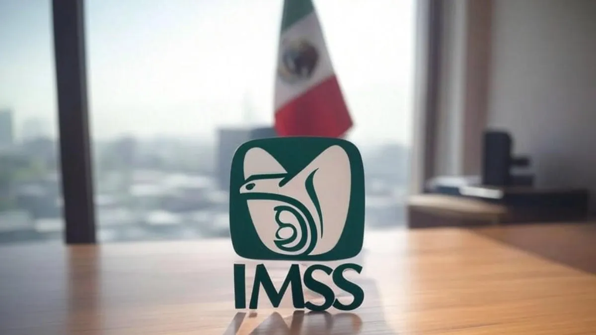 Como-pagar-IMSS-por-tu-cuenta-para-tener-pension-y-guarderias