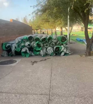 Sin título