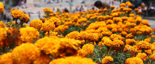 Captura de pantalla 2026-10-28 190338