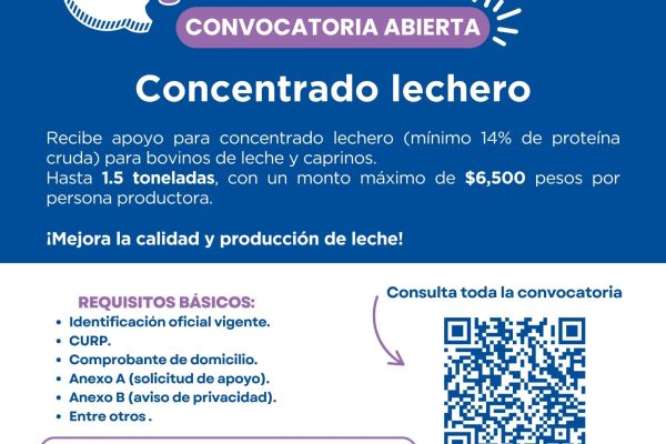 09167354-5c96-4e29-8099-97e4b99c84b1