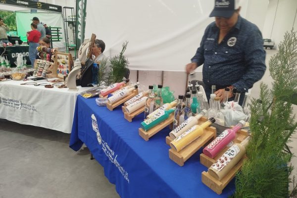 1dc0c313-fadd-4baf-ab4a-219b4782df56