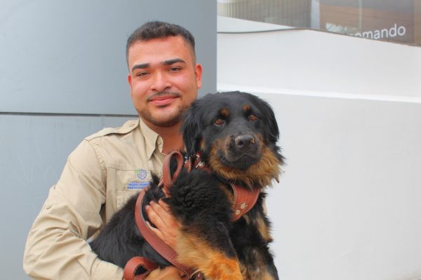 2a78ac48-18fe-4173-bd83-27dfdd2f6267