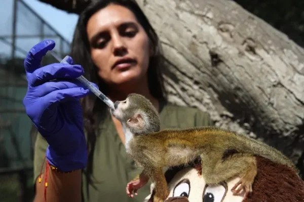 4f09872ea542d31bbcd11fd77c57a3d9c98e27dbw.jpg_245756009