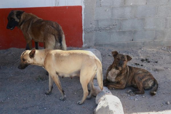 5e9d8130-ed55-4229-814c-4bb41dea2625