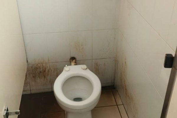 678484393_2954386371432454_5109545291902462842_n