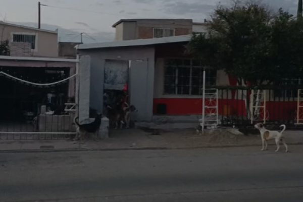 Captura de pantalla 2026-09-04 080942