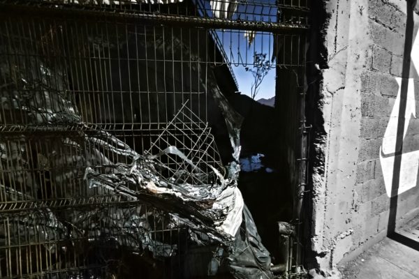 ColorPop1768398033513