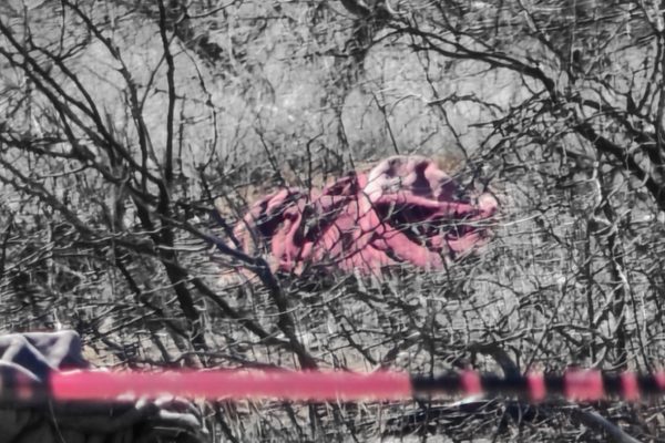 ColorPop1772646629424