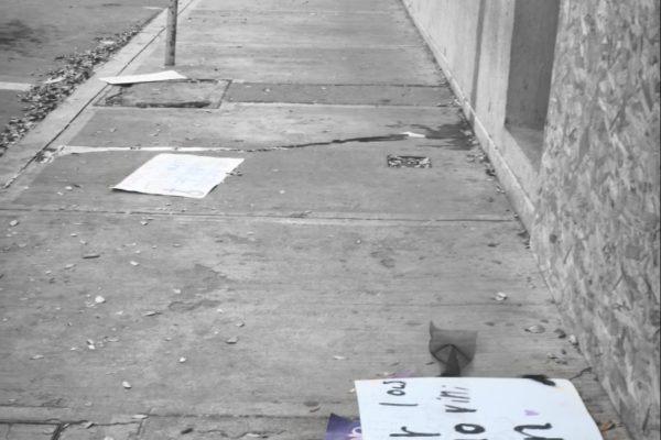 ColorPop1773061537576