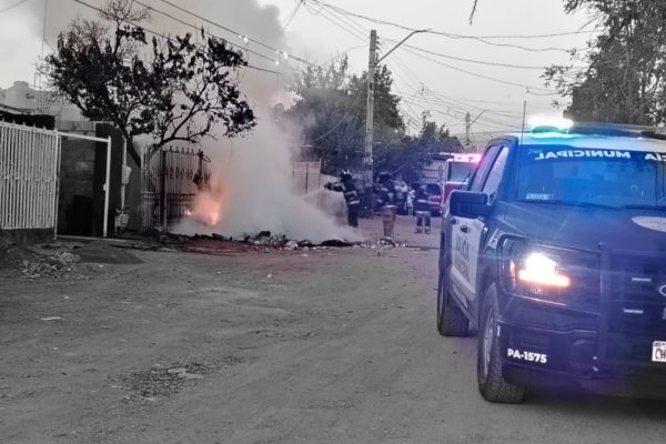 ColorPop1774530534564