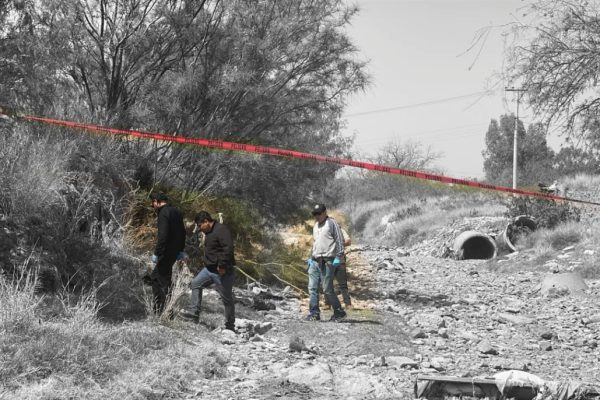 ColorPop1774721664403