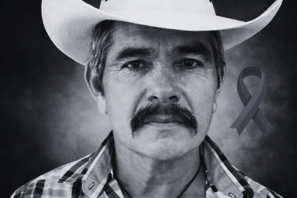 Galería de 2 imágenes (1)