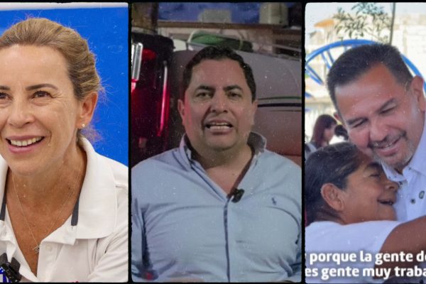 Galería de 2 imágenes (11)
