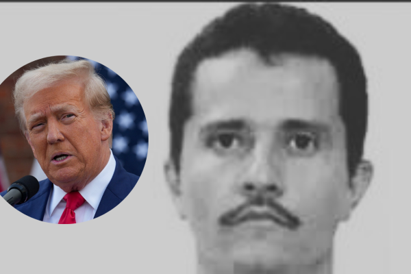 Galería de 2 imágenes