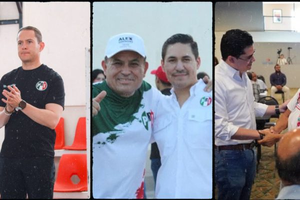 Galería de 2 imágenes (12)