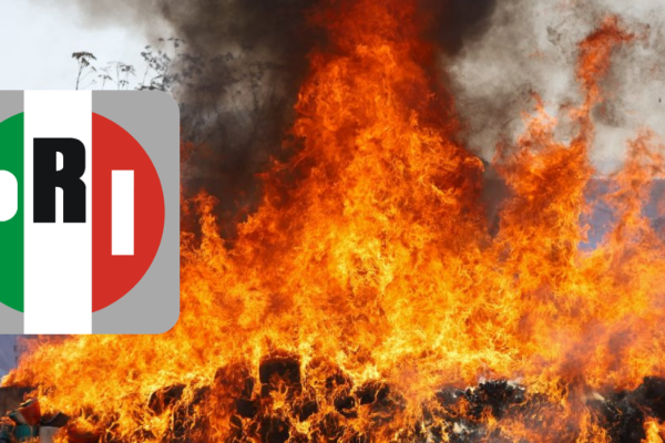 Galería de 2 imágenes