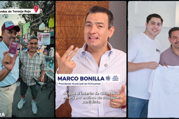 Galería de 2 imágenes (14)