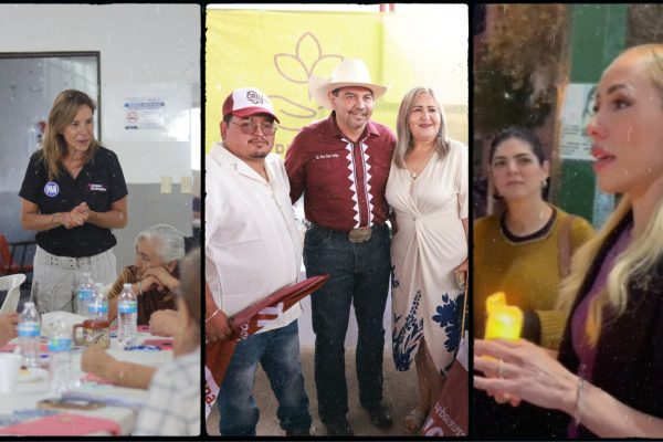 Galería de 2 imágenes (2)