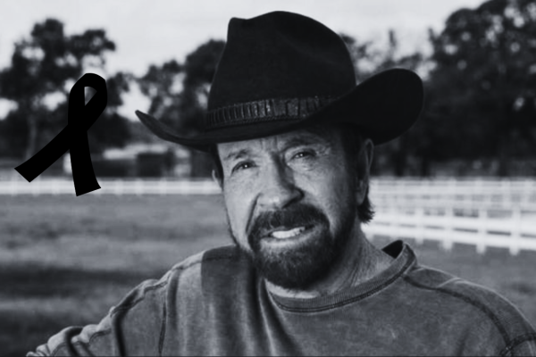 Galería de 2 imágenes