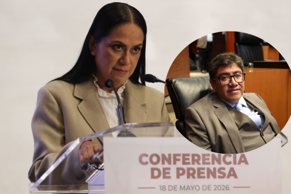 Galería de 2 imágenes (41)