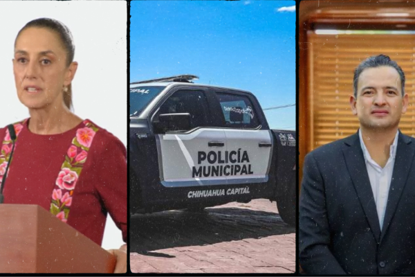 Galería de 2 imágenes (42)