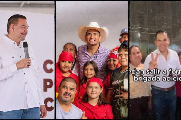 Galería de 2 imágenes (78)