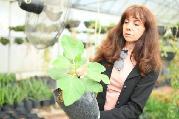 IMG-20260322-WA0002-1160x700