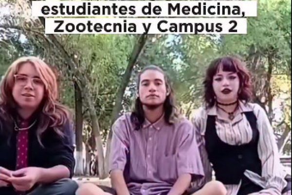 Sin título