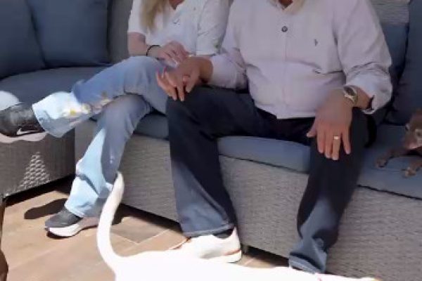 Sin título