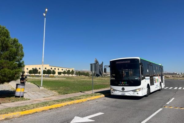 WhatsApp Image 2024-01-13 at 08.37.02