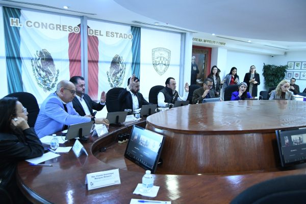 WhatsApp Image 2026-02-03 at 11.38.31 AM