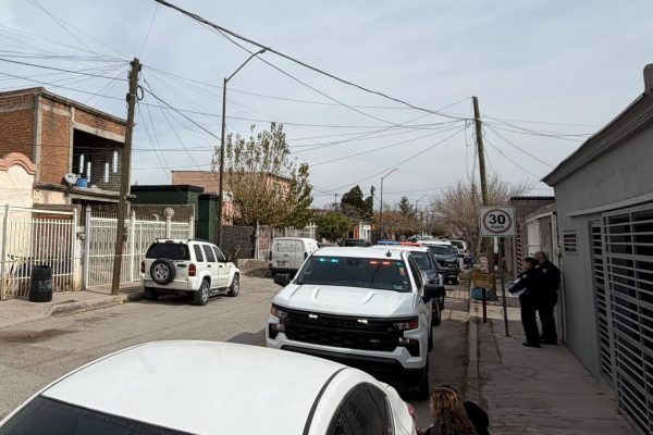 WhatsApp Image 2026-02-08 at 1.41.49 PM