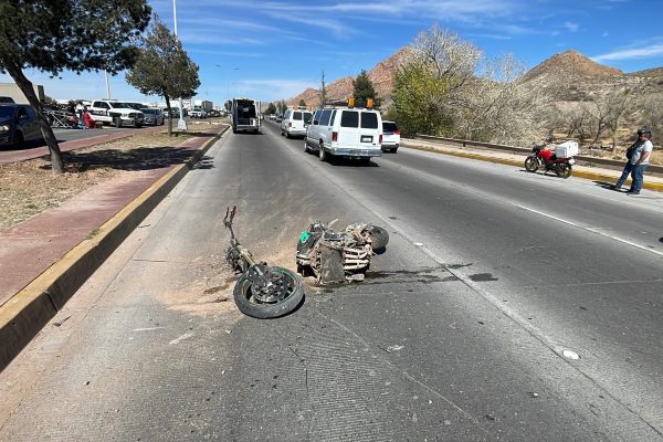 WhatsApp Image 2026-02-15 at 2.05.33 PM