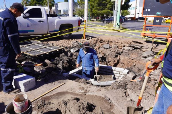 WhatsApp Image 2026-02-17 at 12.23.01 PM (1)