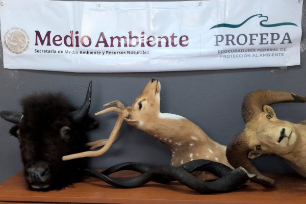 WhatsApp Image 2026-02-25 at 11.14.29 AM