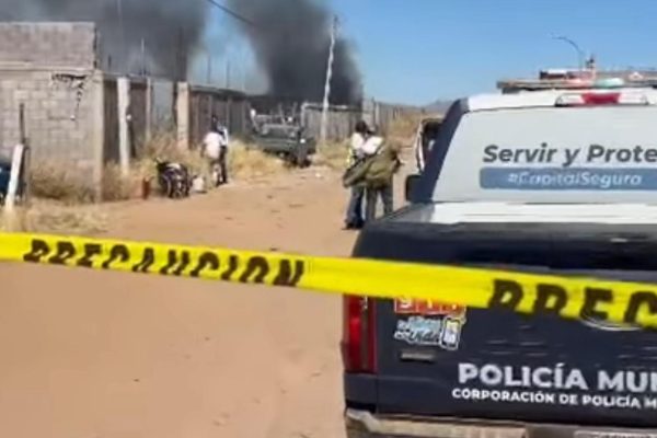 WhatsApp Image 2026-02-26 at 2.03.23 PM