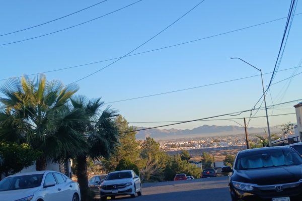 WhatsApp Image 2026-02-28 at 7.55.52 AM