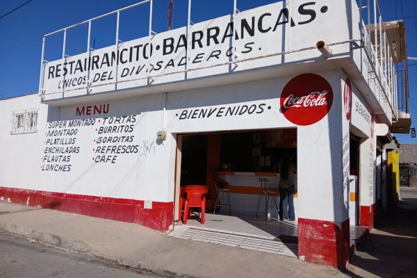 WhatsApp Image 2026-03-04 at 1.09.19 PM (1)