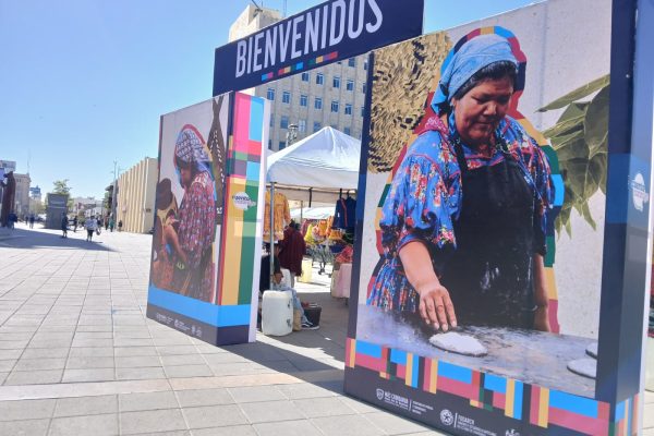 WhatsApp Image 2026-03-19 at 10.52.13 AM