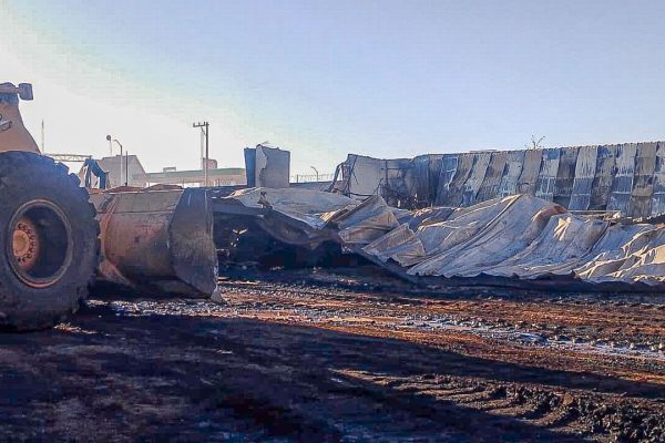 WhatsApp Image 2026-03-22 at 10.40.50 AM (1)