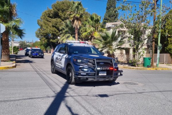 WhatsApp Image 2026-03-29 at 10.13.04 AM