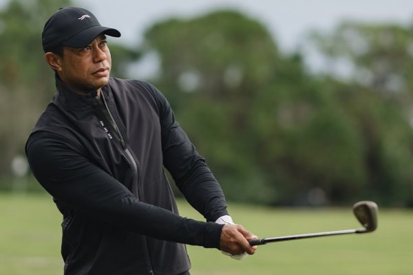 WhatsApp Image 2026-04-02 at 1.22.44 PM