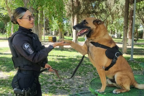 WhatsApp Image 2026-04-12 at 9.53.12 AM