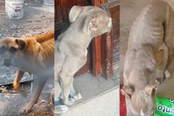 befunky_2026-1-3_11-2-14