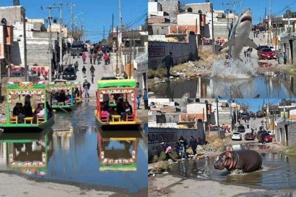 befunky_2026-1-4_10-1-42