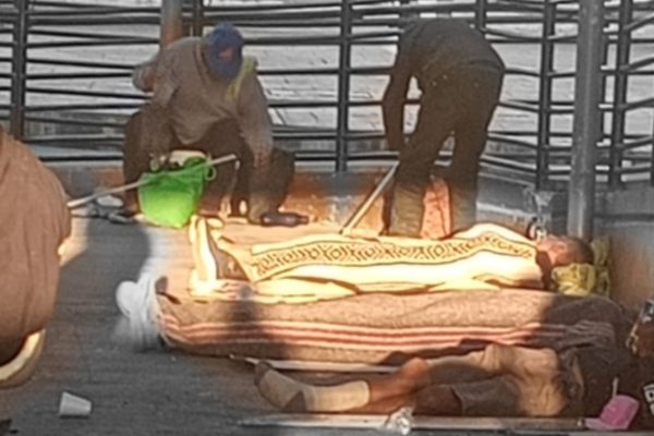 befunky_2026-2-5_8-31-53