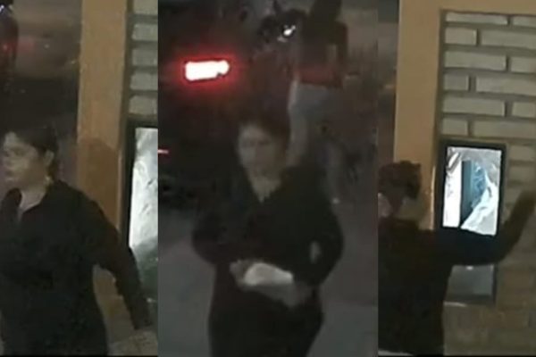 befunky_2026-2-6_9-58-45