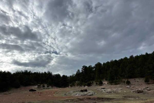 befunky_2026-3-1_10-38-49