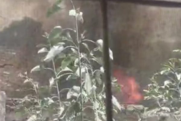 befunky_2026-3-1_8-25-55